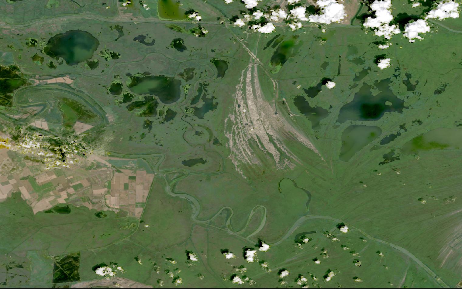 Landsat satellite image of wetlands, lakes and river meanders in the Danube Delta, Romania
