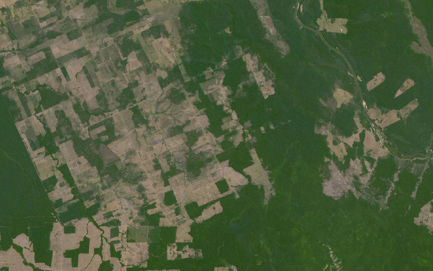 Landsat satellite image of a deforestation frontier in Rondonia, Brazil, where cleared farmland meets intact rainforest
