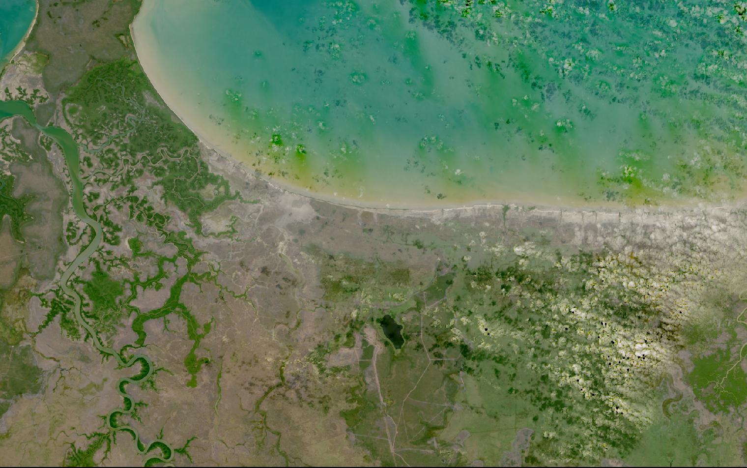 Landsat satellite image of mangrove creeks and tidal flats on the shore of Van Diemen Gulf, Northern Territory, Australia