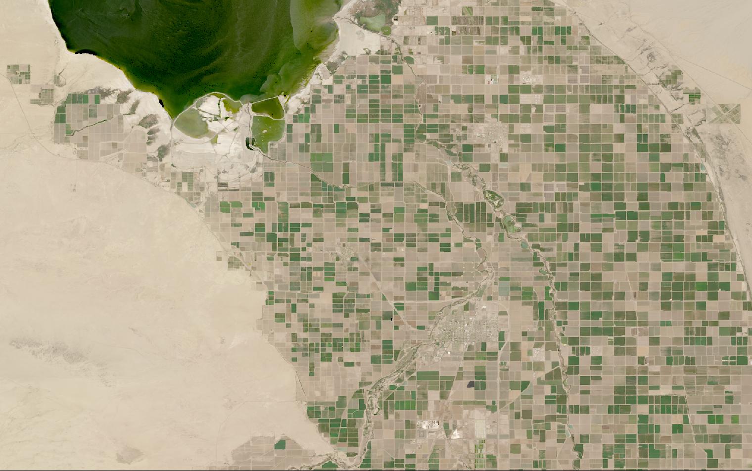 Landsat satellite image of irrigated fields in the Imperial Valley beside the southern Salton Sea, California